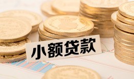 北京20哪里有小额贷款-北京20身份证贷款平台-北京20民间短借